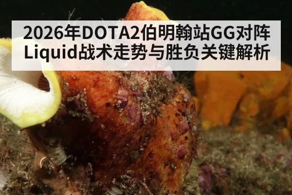 2026年DOTA2伯明翰站GG对阵Liquid战术走势与胜负关键解析