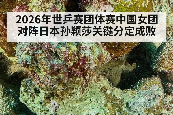 2026年世乒赛团体赛中国女团对阵日本孙颖莎关键分定成败